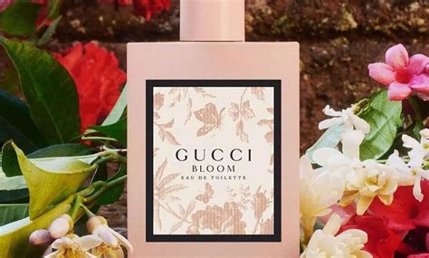 gucci bloom a que huele|gucci bloom for women.